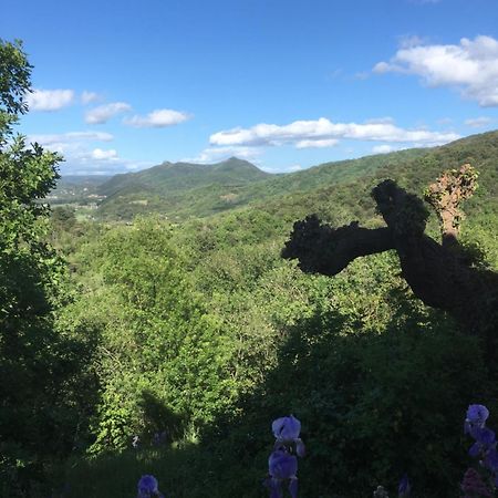 La Petite Adresse De Rose Maison De Vacances Entree Autonome Le Poujol-sur-Orb المظهر الخارجي الصورة