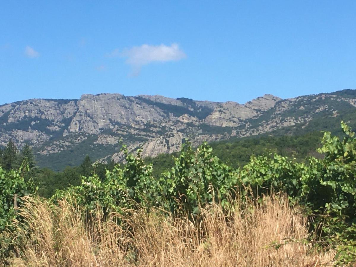 La Petite Adresse De Rose Maison De Vacances Entree Autonome Le Poujol-sur-Orb المظهر الخارجي الصورة