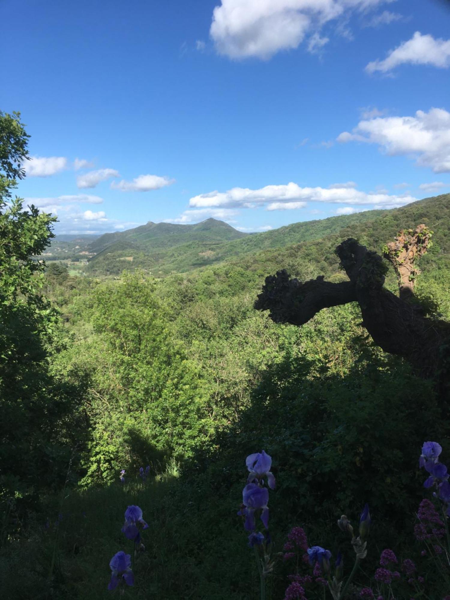 La Petite Adresse De Rose Maison De Vacances Entree Autonome Le Poujol-sur-Orb المظهر الخارجي الصورة
